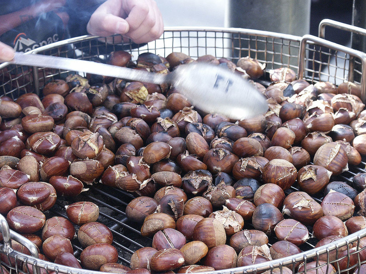 Chestnut Roasting Pan. Extra Long Handled Chestnut Roaster. 